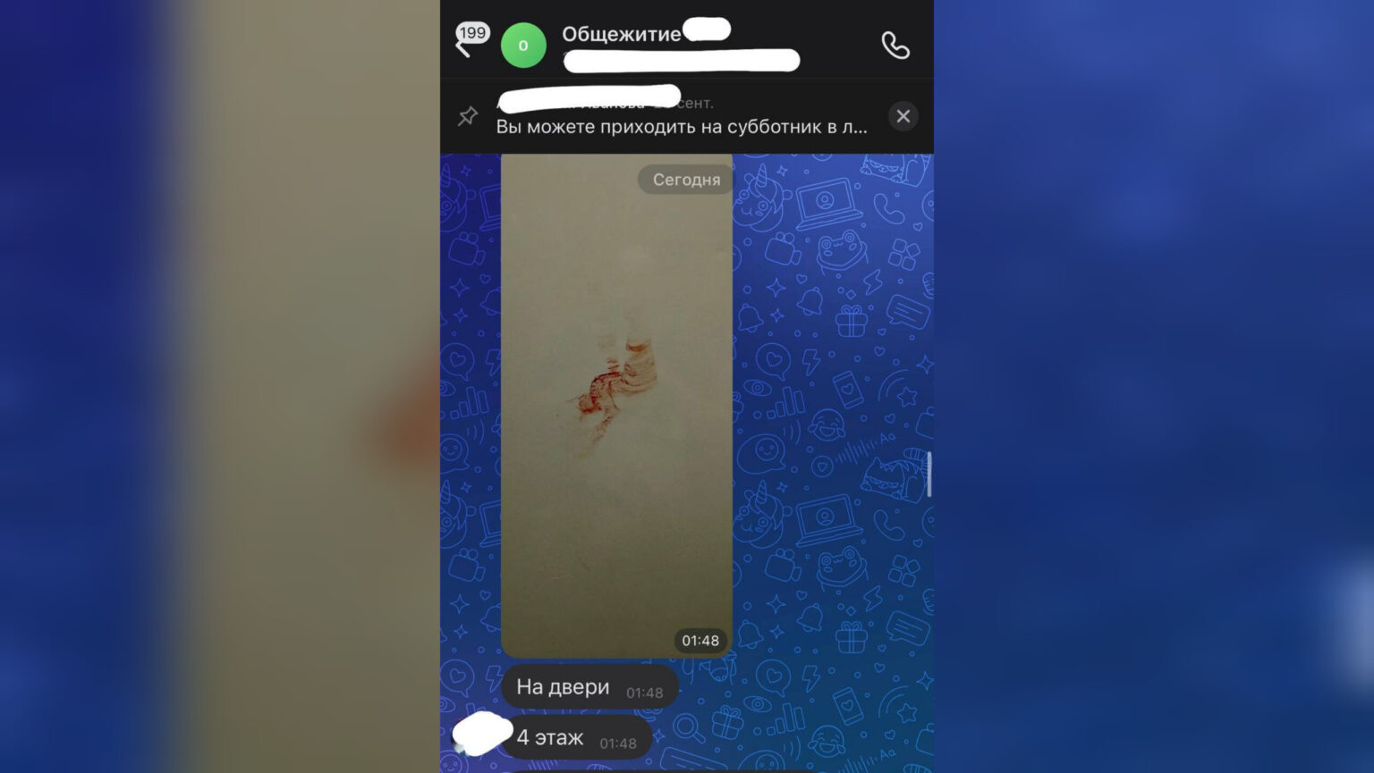Источник: Екатерина Мизулина / Telegram