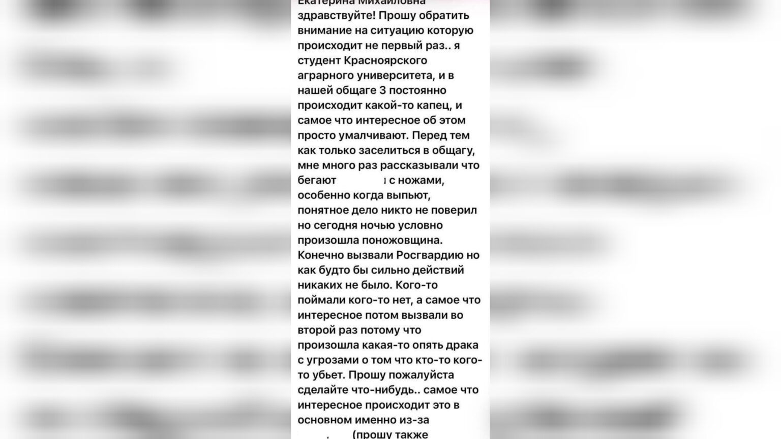Источник: Екатерина Мизулина / Telegram